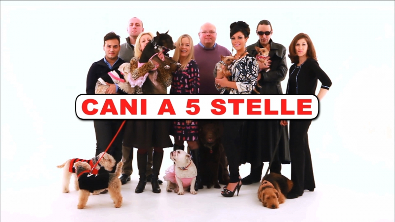 Cani a 5 stelle